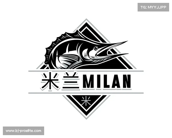 关于米兰milan